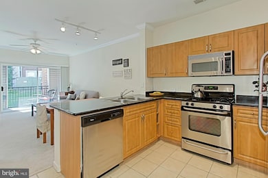 12909 Centre Park Cir unit 106, Oak Hill, VA 20171 - photo 5