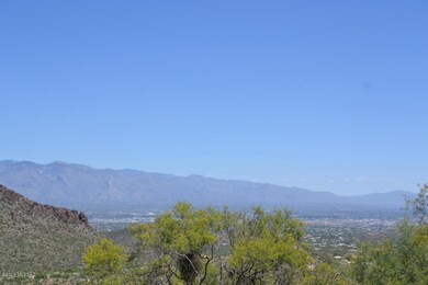 pic1