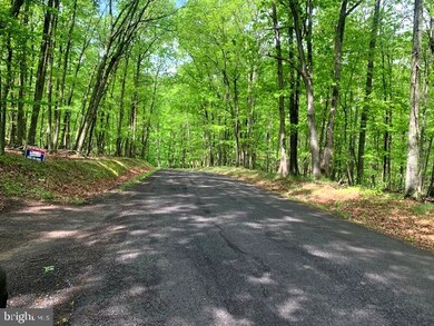 0 Jr Rannels Rd Finding Way unit WVHS2001950, Romney, WV 26757 - photo 2