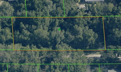 4053 E Grant St, Inverness, FL 34453 - photo 2