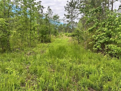 View of landscape with a forest view