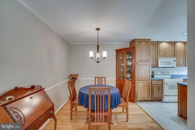 20218 Grazing Way, Montgomery Village, MD 20886 - photo 5