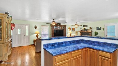 View from kitchen