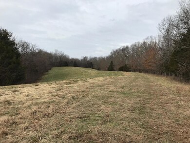 620 Bruners Chapel Rd, Harrodsburg, KY 40330 - photo 3