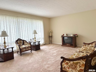 18 Chick St, Metropolis, IL 62960 - photo 6