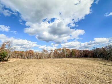 0 Firetower Rd unit RTC3051309, Centerville, TN 37033 - photo 6