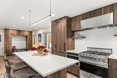 631 S Galena St unit 11, Aspen, CO 81611 - photo 4