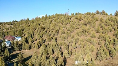 0 Patterson Dr, Canyon City, OR 97820 - photo 4