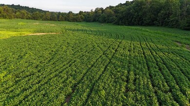 0 Ready Rd unit LotWP002 24349623, Caneyville, KY 42721 - photo 6