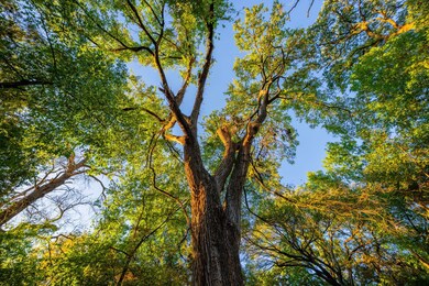 2574 County Road 211, Hico, TX 76457 - photo 6