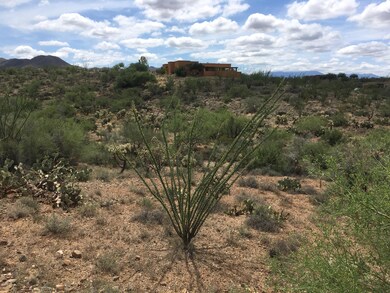Natural Desert Landscape