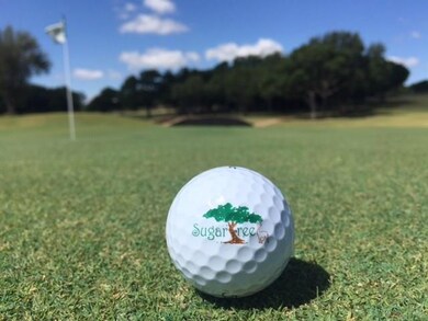 Lot 309 Sugartree Dr, Lipan, TX 76462 - photo 5