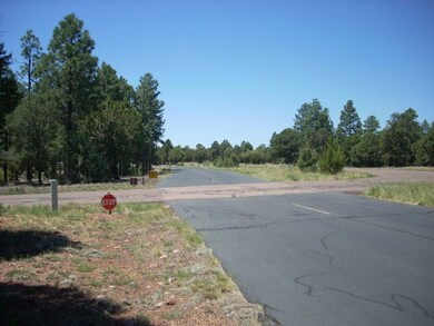 2877 Chandelle Lane (17)