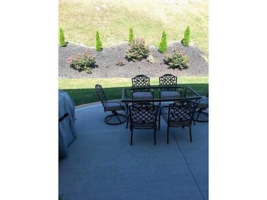 Yard/Garden.