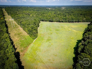 0 New Haven Church Rd unit CL334534, Danielsville, GA 30633 - photo 4