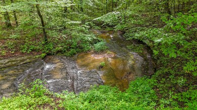 298 Burns Hollow Rd, Waynesboro, TN 38485 - photo 6