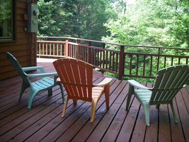 12 Open Meadow Lane (C234 C237), Wilmington, VT 05363 - photo 3