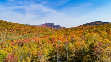 DJI_0155