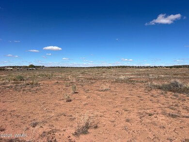 000 S Bourdon Ranch, Taylor, AZ 85939 - photo 3
