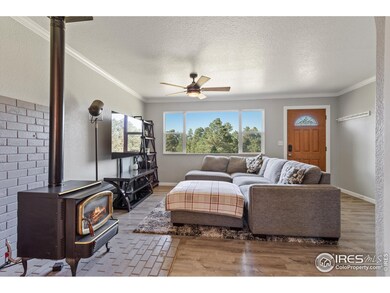 18315 Steeplechase Dr, Peyton, CO 80831 - photo 6