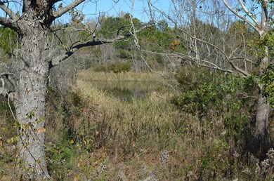 143 Causey Rd, Doerun, GA 31744 - photo 3