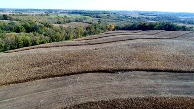 73 AC Alpine Rd, Brooklyn, WI 53521 - photo 4