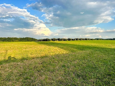 1515 River Path unit 46, Morristown, TN 37813 - photo 6