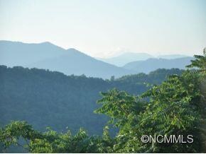 Asheville Views