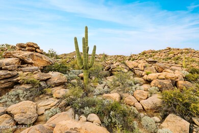 192 W Shimmering Desert Place unit 584, Oro Valley, AZ 85755 - photo 4