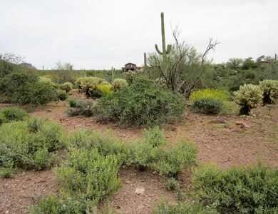 Greasewood looking northwest