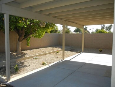 10thpatio