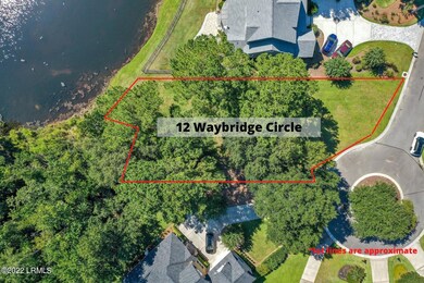 _Drone Pics 12 Waybridge Cir (1)
