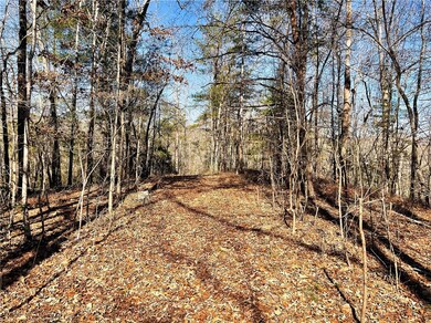 XX Marble Branch Trail, Walhalla, SC 29691 - photo 5