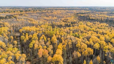 tbd Labrec Klein Trail, Ely, MN 55731 - photo 3