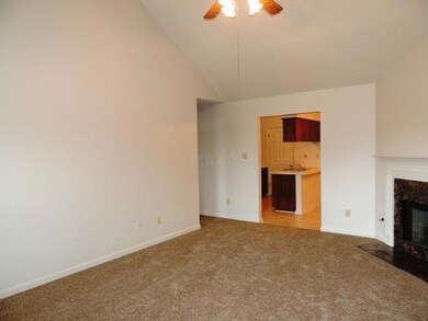 New carpet and paint