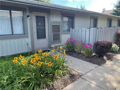 Beautiful flowers in the warmer months!