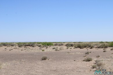 0 Harrison Rd SE unit 20232297, Deming, NM 88030 - photo 2