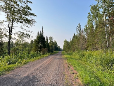 79900 Tarpaper Aly, Brule, WI 54820 - photo 3