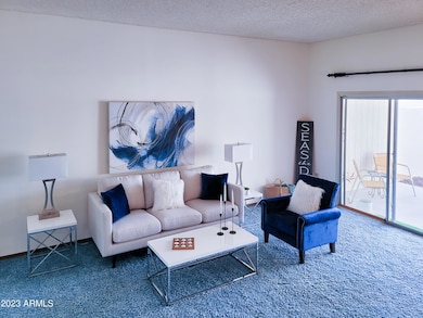 17270 N 105th Ave, Sun City, AZ 85373 - photo 7