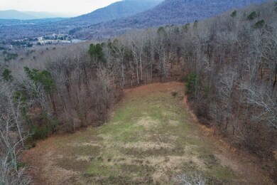 9-DJI_0094