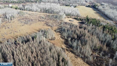 7917 Hinkkanen Rd, Cedar Valley Township, MN 55736 - photo 5