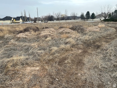 1886 W 950 N unit 3, Farmington, UT 84025 - photo 7