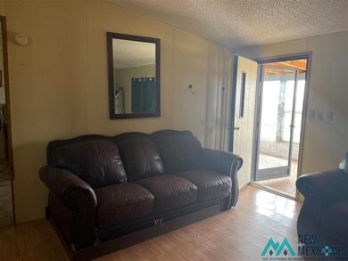 17065 Sundown Rd SE, Deming, NM 88030 - photo 5