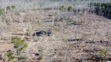 7724 Hunting Swamp Rd, Conway, SC 29527 - photo 3