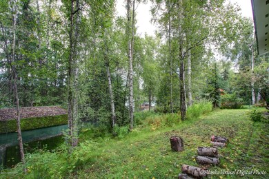 Private Backyard w/ Lots of Trees