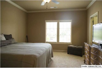 Master bedroom with all new carpet, walk in closet
