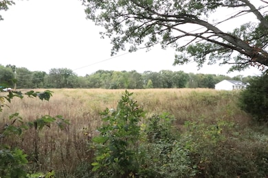 8550 66th St SE, Alto, MI 49302 - photo 2