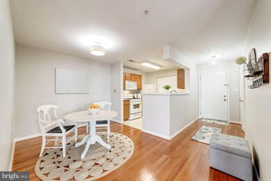 8099 Lacy Dr unit 201, Manassas, VA 20109 - photo 6