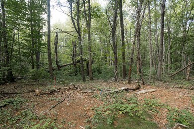 1 Lils Aly, York, ME 03909 - photo 4