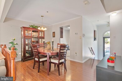 3833 Wildlife Ln, Burtonsville, MD 20866 - photo 3